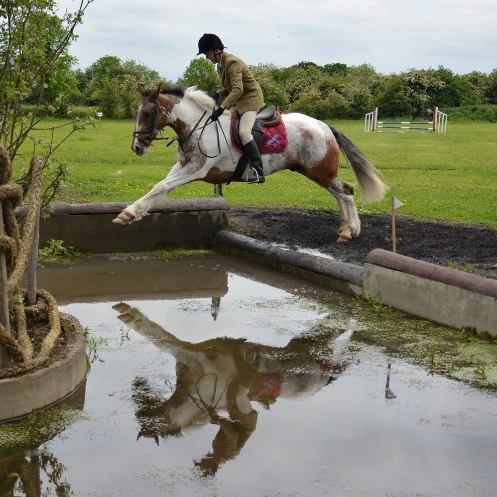 horse-jumping